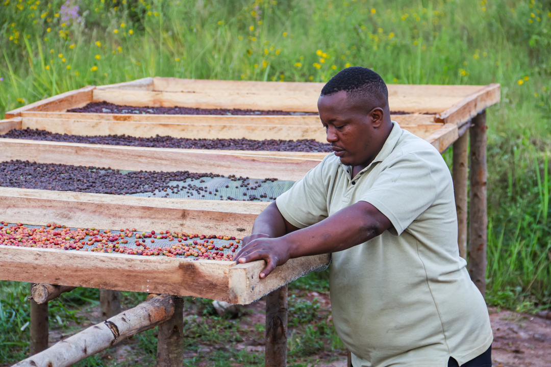 Community farmer in Uganda