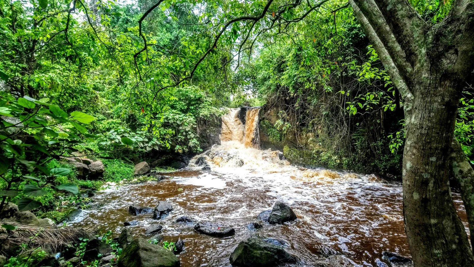 Community Restoration