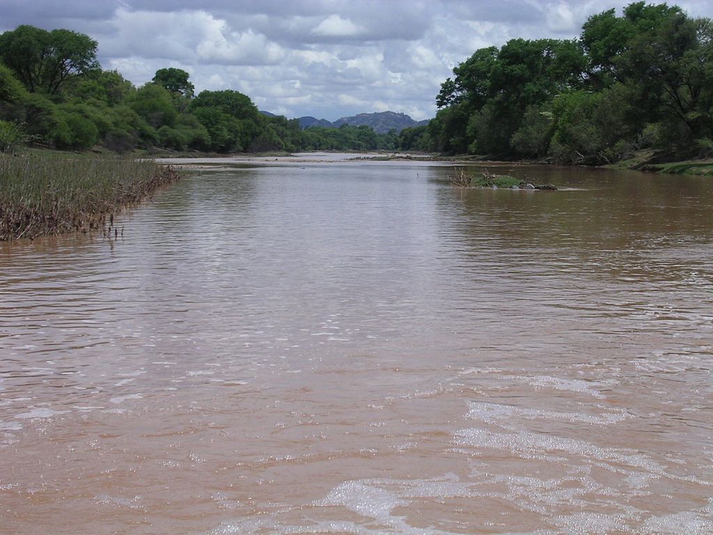 Wetland