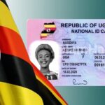 how to check if ID is ready for collection